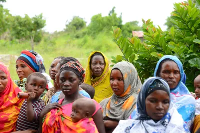 DSC_9467 (Large).JPG